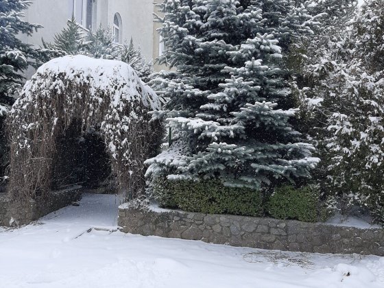 Дом под сдачу в аренду Сумы