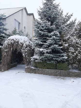 Дом под сдачу в аренду - фото 1