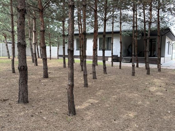 Оренда нового будинку в лісі Полтава Полтава