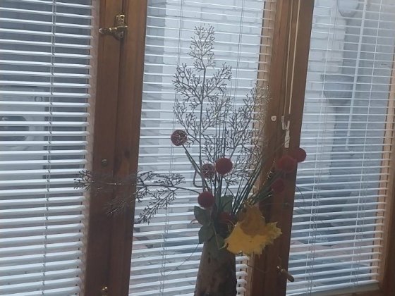 Власник! Здам будинок Шевч.р-н Запорожье