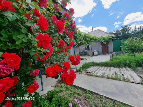 Сдам часть дома. Левый берег. Ул. Янтарная.  Риелторы не звоните. Дніпро