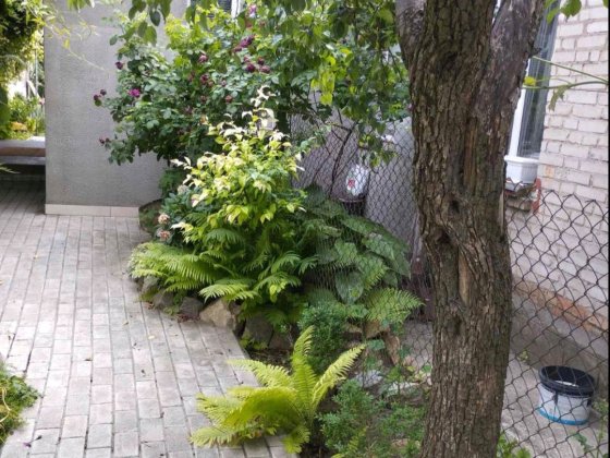 Здається  невеликий  будинок  Олександрівський район можна військовим Запорожье