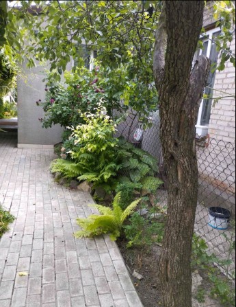 Здається  невеликий  будинок  Олександрівський район можна військовим - фото 1