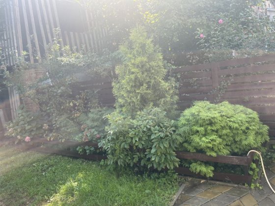 Аренда будинку на Нивках від власника Київ