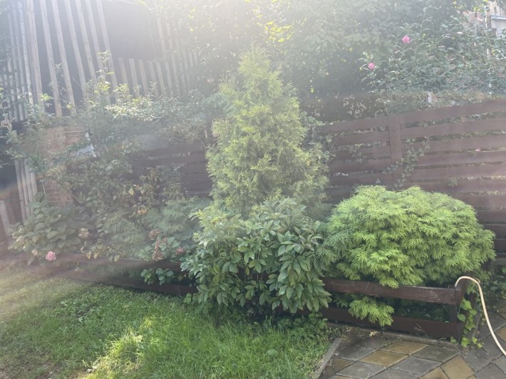 Аренда будинку на Нивках від власника - фото 1