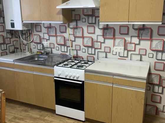 Оренда будинку в центрі з заїздом для авто Кропивницький