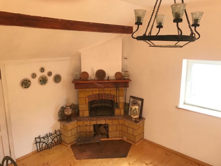 Оренда Будинку Старознесенська - фото 1