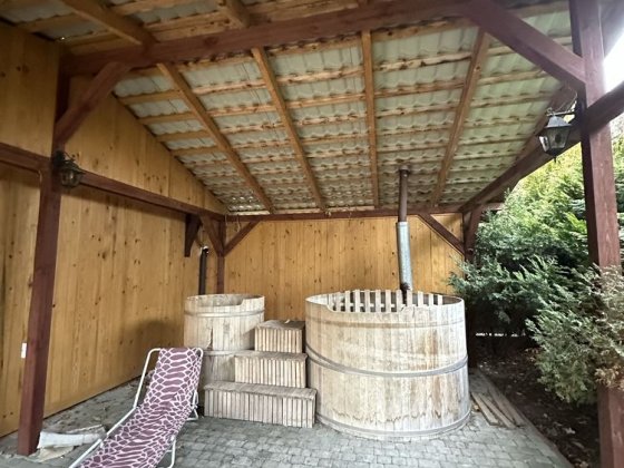 Здається будинок з чаном біля лісу Львів