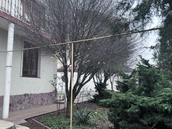 Дом  Сахарова/ Заболотного  для семьи Одеса