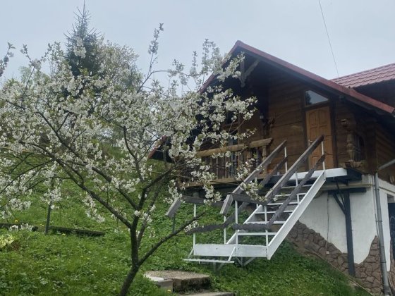 Оренда котеджу Славсько Славське