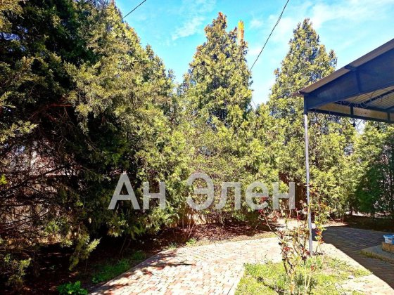 Отдельный дом в фонтанке с собачкой Фонтанка