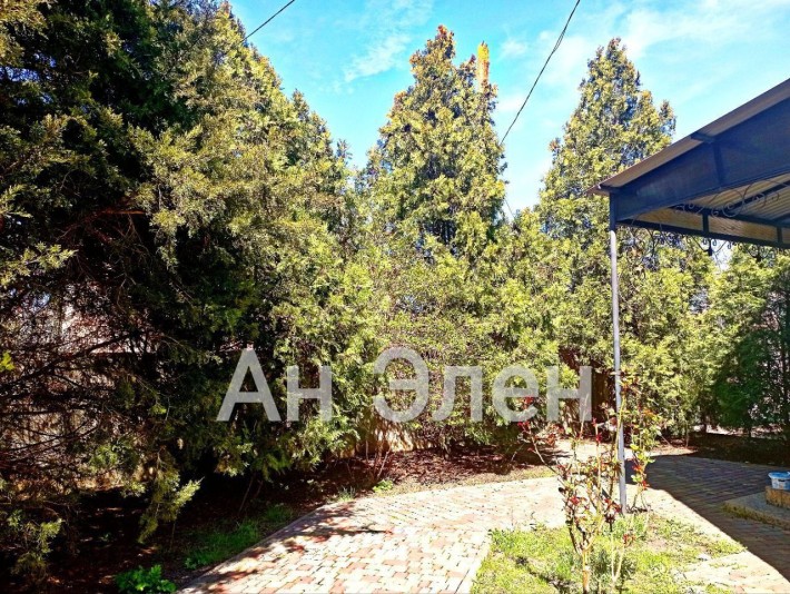 Отдельный дом в фонтанке с собачкой - фото 1