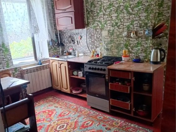 Продам дом  с АГО Кам'янське