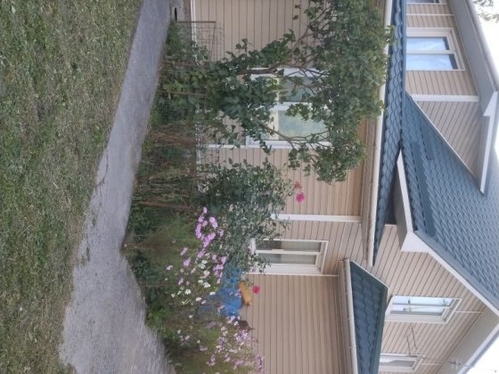 Продається 1/2 частина житлового будинку! Власовка