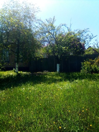 Продам будинок с.Знамʼянка Кіровоградська обл - фото 1