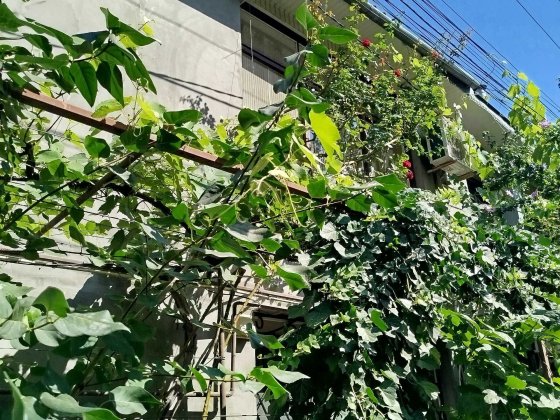 Добротный, каменный дом в Черноморске Чорноморськ