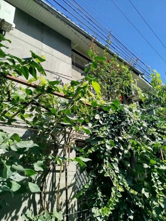 Добротный, каменный дом в Черноморске - фото 1