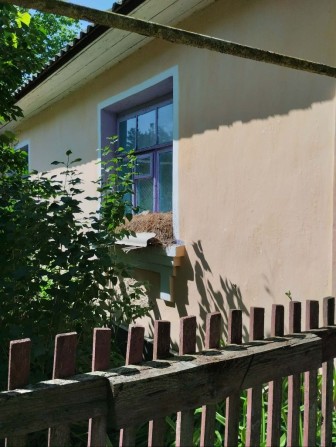 Продається будинок  село Крижі - фото 1