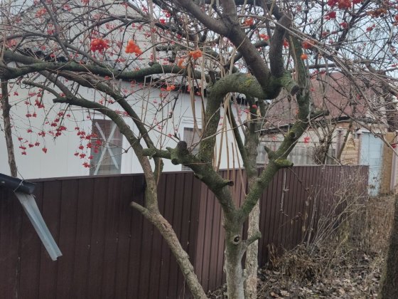 Продам дом возле закрытого переезда Лозовая