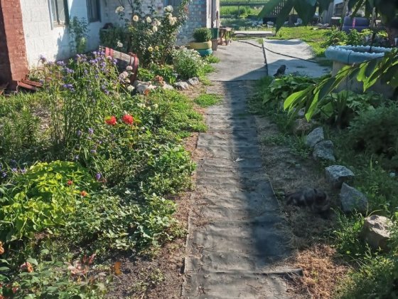 Продам будинок 4000$ Лубны