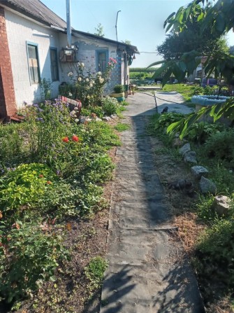 Продам будинок 4000$ - фото 1