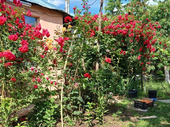 Будинок зі зручностями Лубны