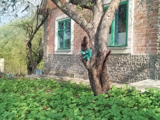 Будинок садовий 2 поверховий у Миргороді Миргород