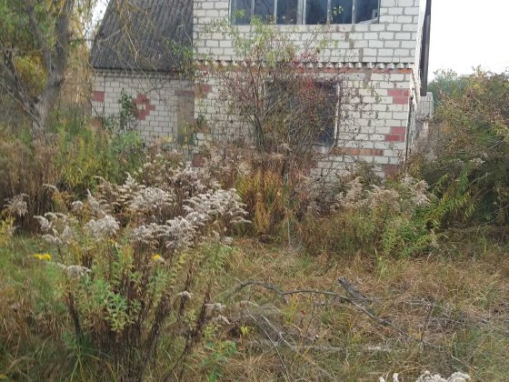 Продам дачу Звягель Житомирської області Гульськ Звягель