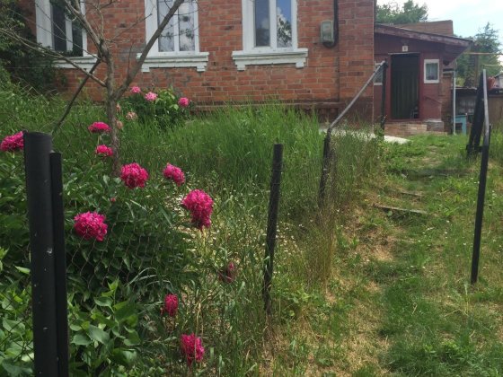 Терміново продам будинок Ромны