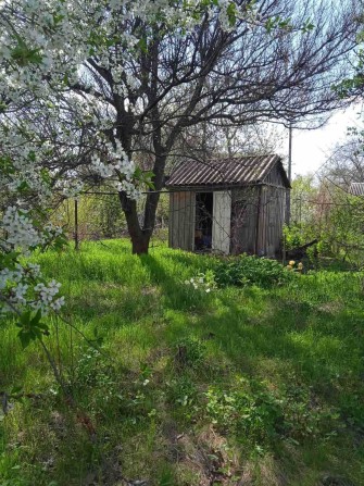 Дачна ділянка у кооперативі "Будівельник" - фото 1