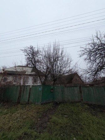 Продаж 1/2 частки житлового будинку з господарськими будівлями та спор - фото 1