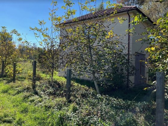 Новий будинок у місті з гаражем та великою ділянкою 31244