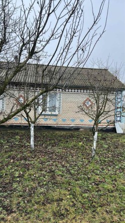 Продається добротний будинок в с. Святець з усіма комунікаціями! - фото 1