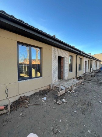 Продам Тауни по привабливій ціні (8340) - фото 1