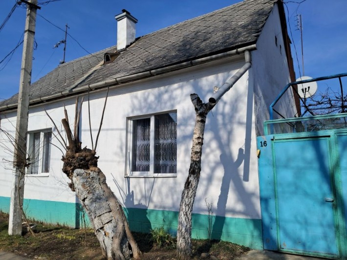 Продам Житловий Будинок в місті Тячів - фото 1