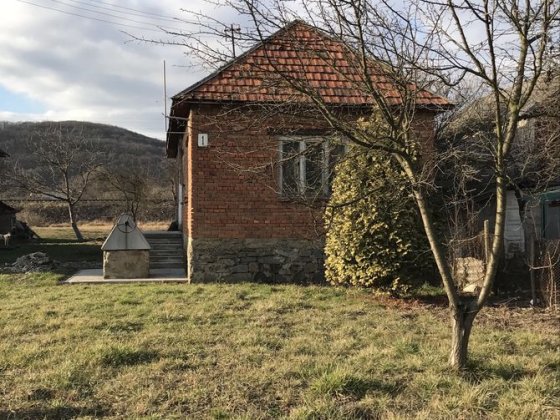 Будинок в селі Невицьке Невицкое