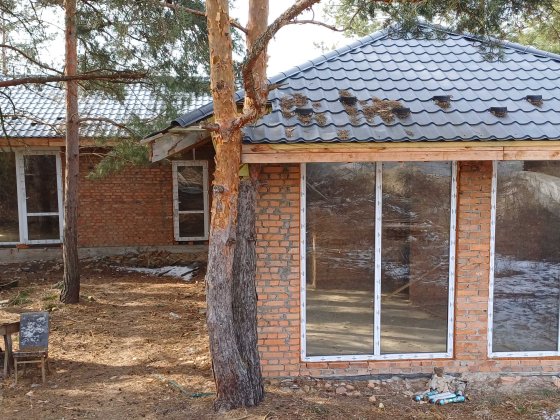 Будинок 140м2 в одному поверсі, посеред сосен Козин