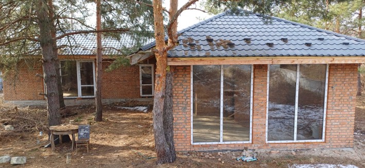 Будинок 140м2 в одному поверсі, посеред сосен - фото 1