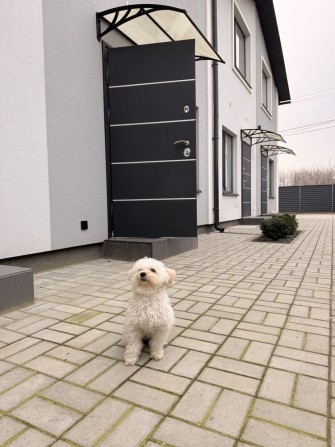 ‼️АКЦІЙНА ЦІНА 17000$ - площа 35м2 ТАУНХАУС‼️ власник / без комісії - фото 1