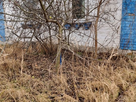 Білогородка будинок в центрі села Білогородка