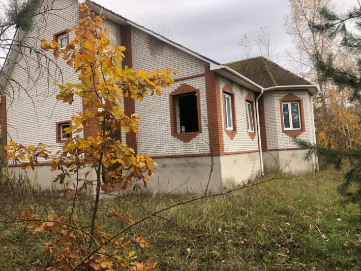 Вишенки Золоче со своей береговой линией - фото 1