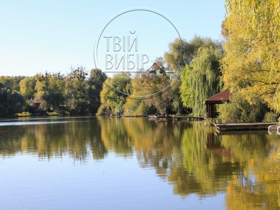 Продаж Будинку біля Лісу Гореничі 12 соток Гореничі