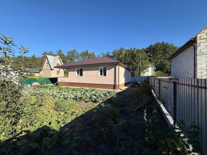 Одноповерховий будинок в СТ"Мрія" у селі Дмитрівка - фото 1