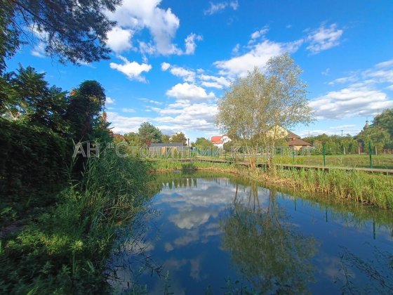 Продаж будинку. Зазим'я. Зазимье