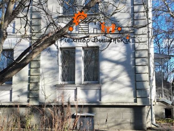 235000$ Родинна садиба або простір для бізнесу с. Петропавлівське Петропавлівське