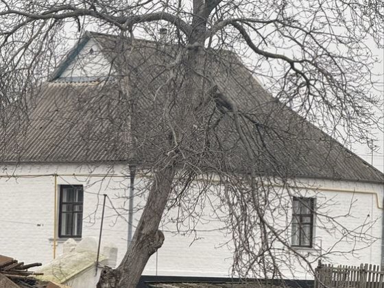 Продам будинок в селі Шкарівка Шкарівка