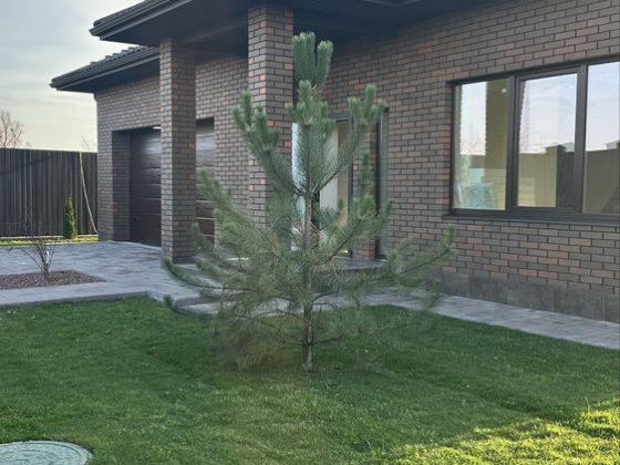 Стильний будинок з газовим опаленням Шевченково