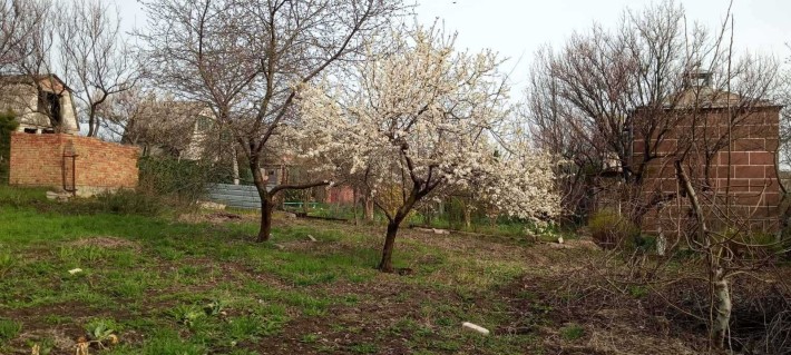 Дачний участок 8 соток Зайчевское ДК Зайчевское - фото 1