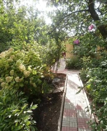 Продам гарний будинок в Світлому - фото 1