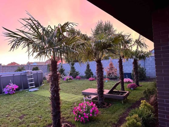 Это действительно впечатляющее предложение! Прекрасный дом! Фонтанка